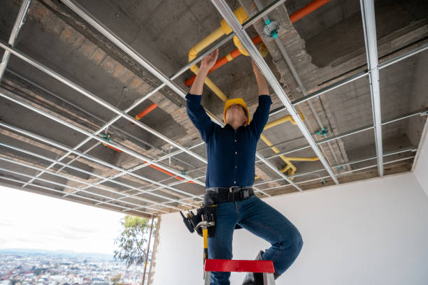 Best Sewer Line Repair  in Carrollwood, FL