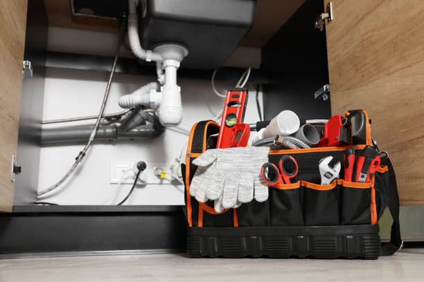 Best Shower Repair Services  in Carrollwood, FL