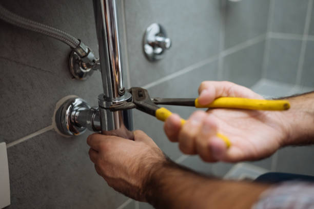 Best Shower Repair Services  in Carrollwood, FL